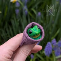 Image 4 of Pocket Frogs 