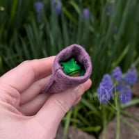 Image 5 of Pocket Frogs 