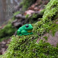 Image 6 of Pocket Frogs 