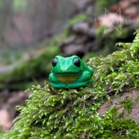 Image 7 of Pocket Frogs 