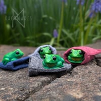 Image 1 of Pocket Frogs 