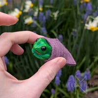 Image 3 of Pocket Frogs 