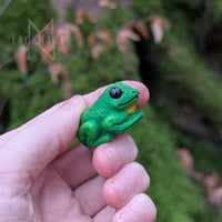 Image 8 of Pocket Frogs 