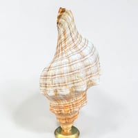 Image 5 of Coquillage escargot de mer Fasciolaria Trapezium sur socle en bois tourné fin XIXe - 