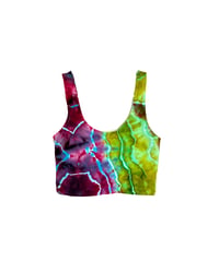 Moonbeam Pixie Crop Top - Small