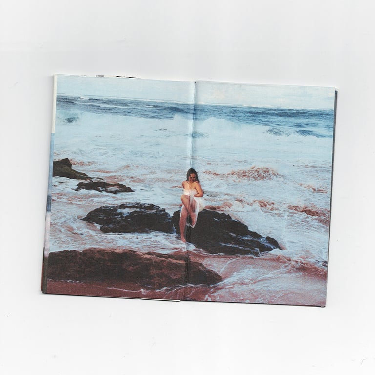 MACROCOSMOS small zine (one-page) 