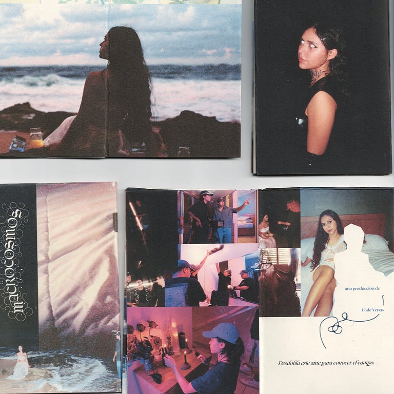 MACROCOSMOS small zine (one-page)  Image 4