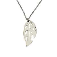 Image 2 of Monstera Adansonii Pendant