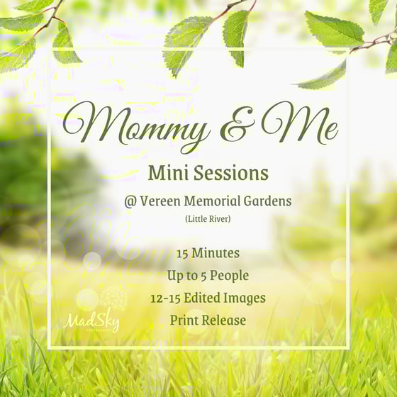 Image of MOMMY & ME MINI SESSION FOR VEREEN MEMORIAL GARDENS MINI SESSION
