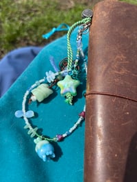 Image 5 of sea angel’s jelly 