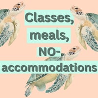 Classes, meals NO accommodations at The Reseller Reset Retreat