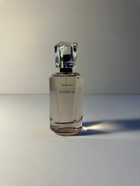 Image 6 of Daybreak - Aeropostale