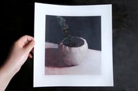 "Eucalyptus" - Print