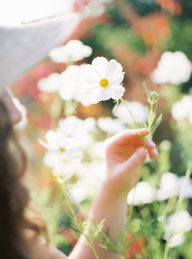 Image of Garden Tour on May 9th from 10-11am