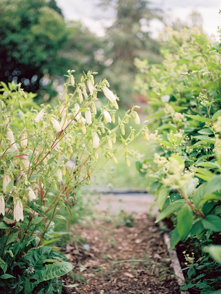 Image of Garden Tour on May 9th from 10-11am