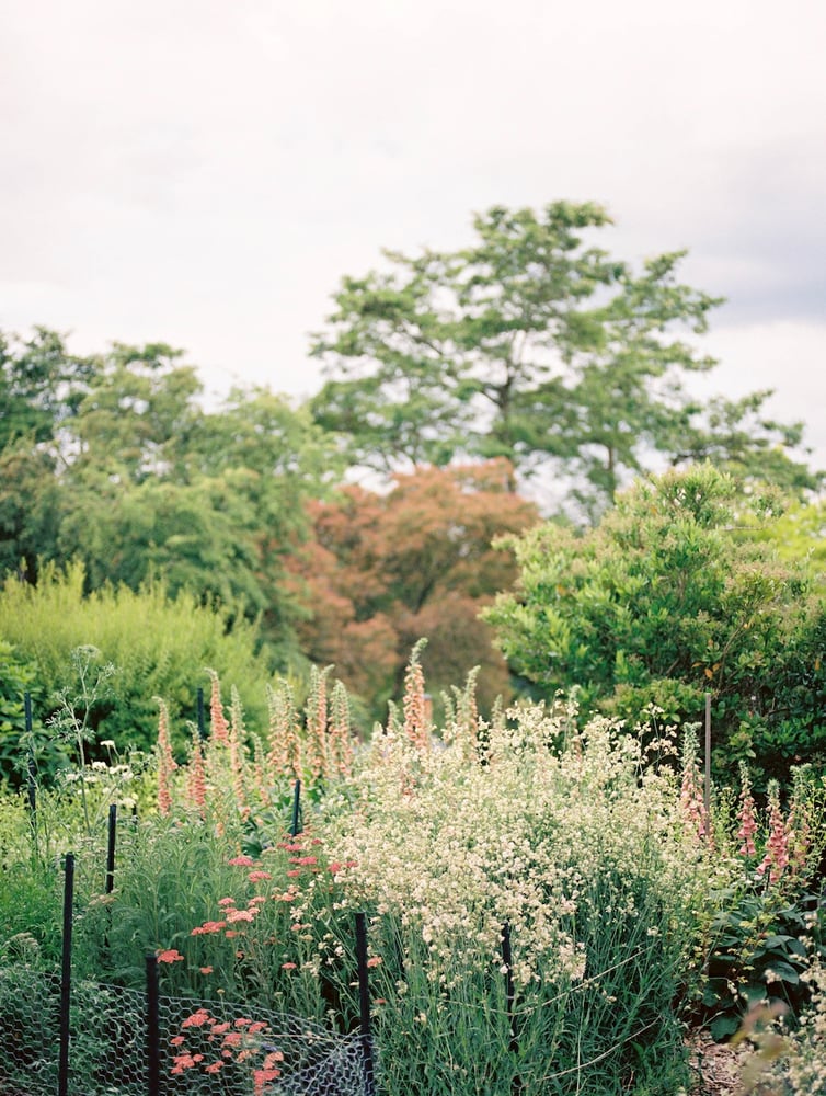 Image of Garden Tour on May 9th from 10-11am