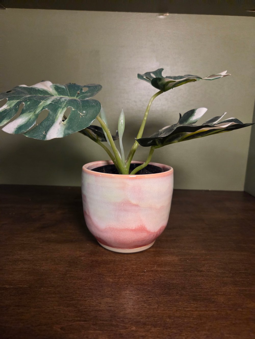 Image of Pink and green pot