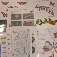 Image 1 of 🦋Wild Cubs Butterfly Lifecycle Learning Pack 🦋