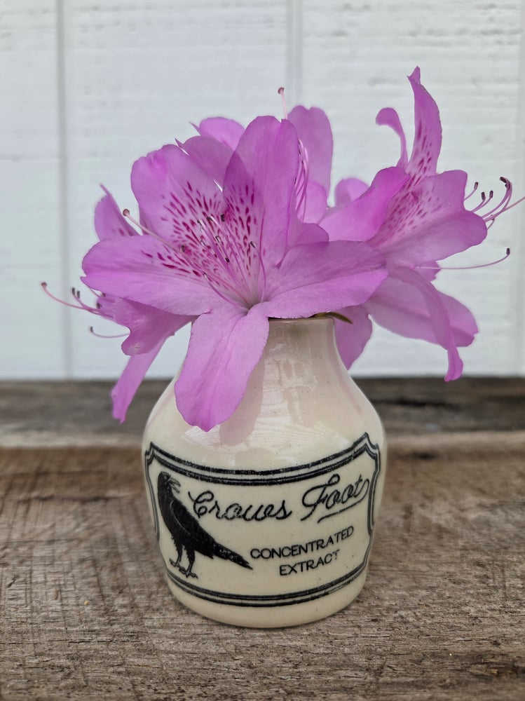 Image of Small crows feet vase