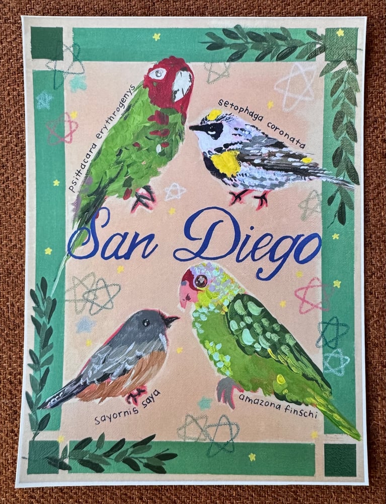 Image of 5”x7” Birds of SD Print