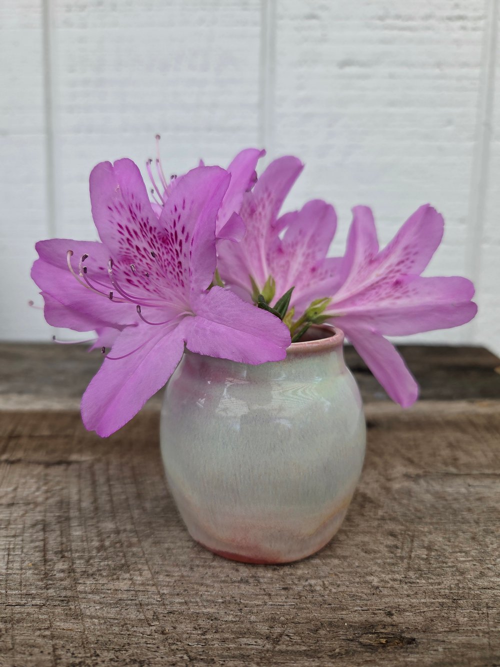 Image of Small vase