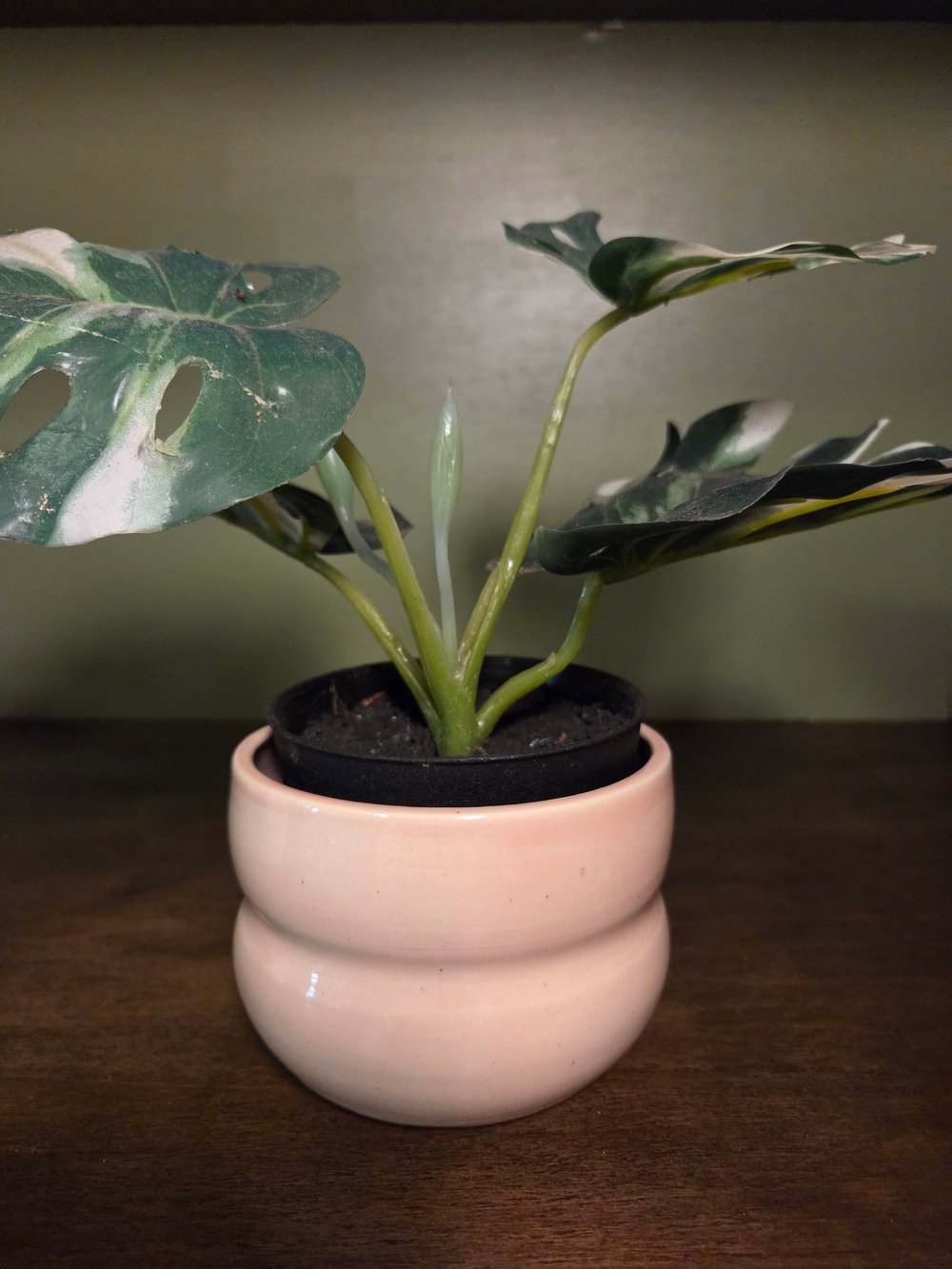 Image of Light pink bubble pot