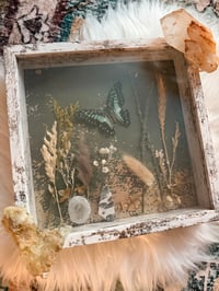 Image 2 of Specimen No. XIV