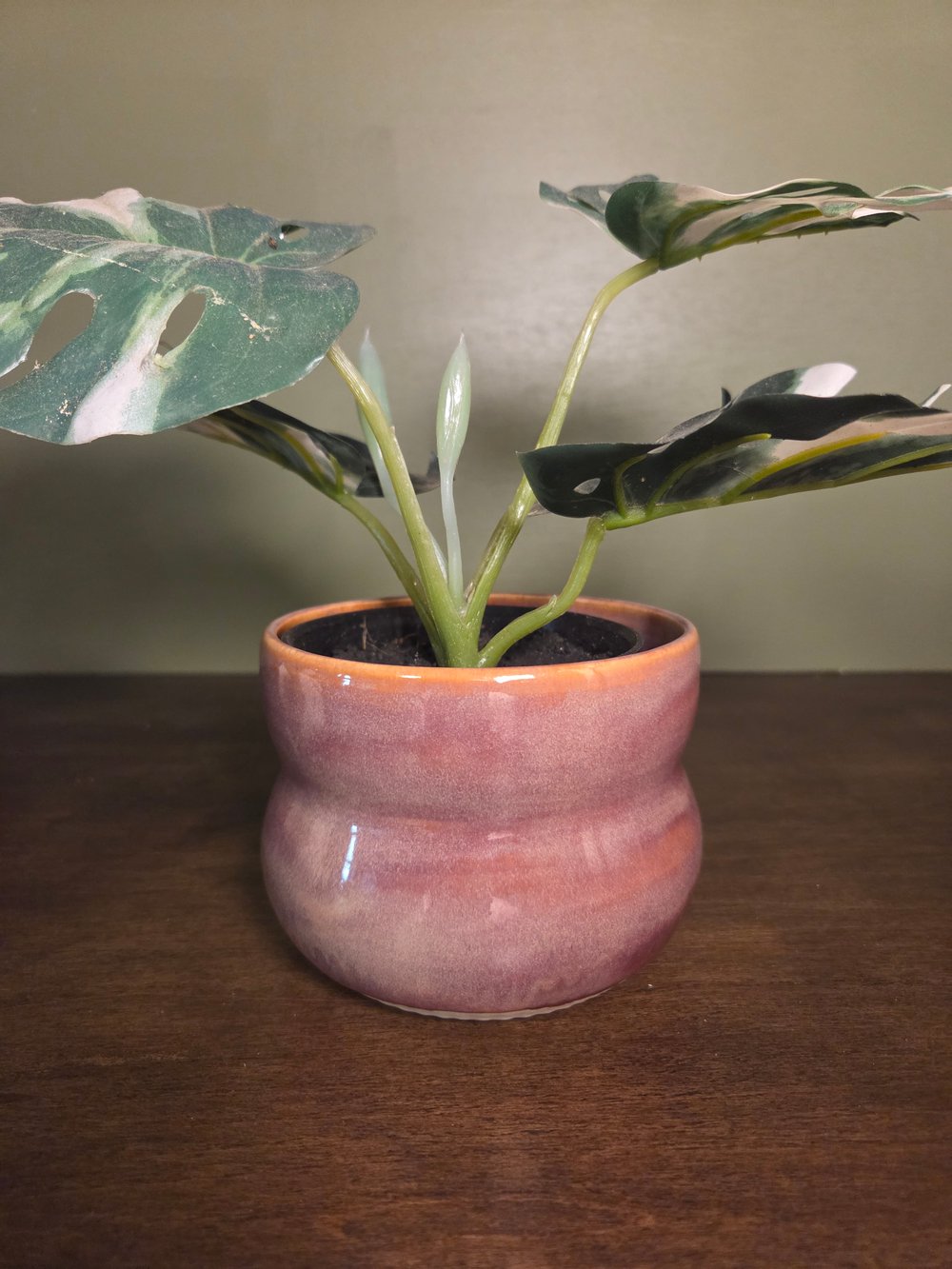 Image of Pinkish purple bubble pot