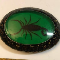 Image 1 of Scorpion belt buckle green taxidermy alpaca silver 1980s