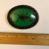 Image 3 of Scorpion belt buckle green taxidermy alpaca silver 1980s
