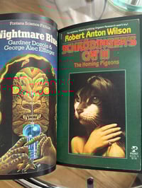 Image 2 of BRAIN CRACK 