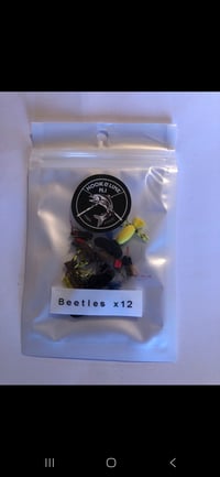 Image 13 of Fly packs