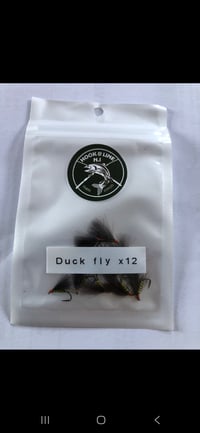 Image 16 of Fly packs