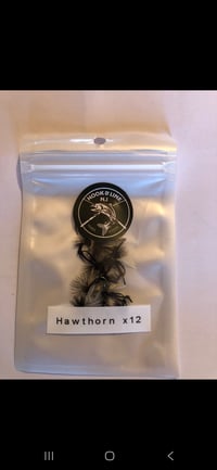 Image 18 of Fly packs