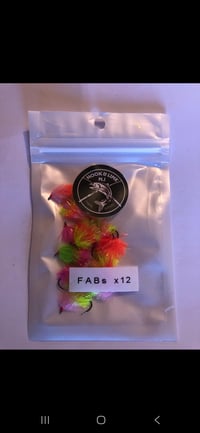 Image 24 of Fly packs