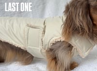 Image 1 of Taupe Raincoat Chest Cover Coat 