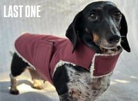 Image 1 of Maroon Raincoat Strap Coat