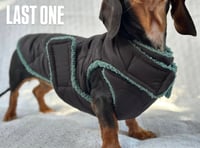 Image 1 of Black Puffer Chest Cover Coat