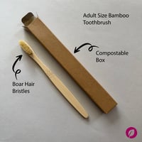 Adult Size Bamboo Toothbrush (boar hair bristles)