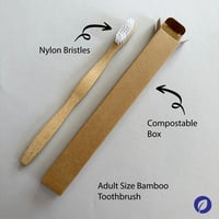 Adult Size Bamboo Toothbrush (nylon-6 bristles) 