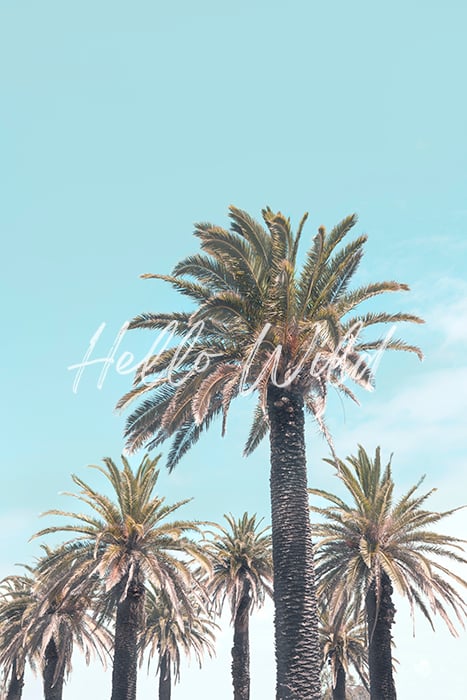 Image of St Kilda Palms 