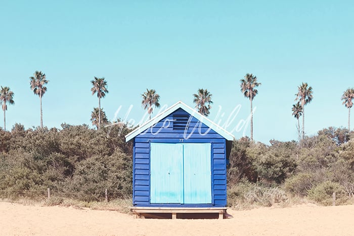 Image of Brighton Beach Blue Bath House 