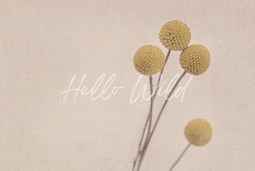 Image of Billy Buttons with Beige Fabric Overlay