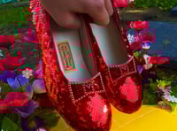 Image 1 of Dorothy's Ruby Slippers The wizard of Oz inspired replicas (modern wearable version) 