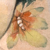 Image 5 of Peinture originale - "Les plumes de Guacamayo" - Amazonie péruvienne