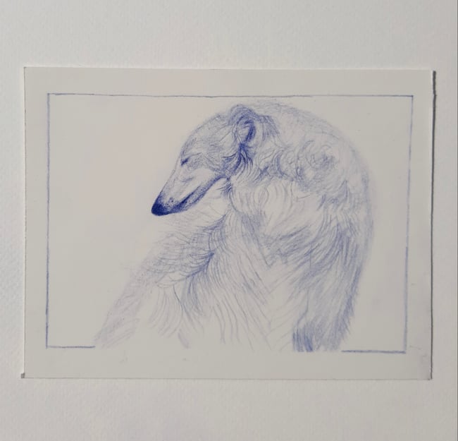 The Borzoi ~ Original drawing