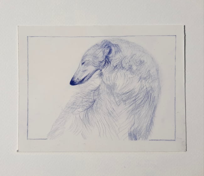 The Borzoi ~ Original drawing