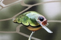 Image 2 of Custom Airbrushed S-CRANK 1.5 Squarebill Crankbait 909