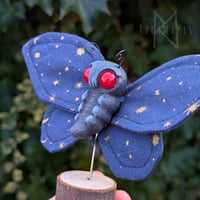 Image 2 of Starry Goth Moth 