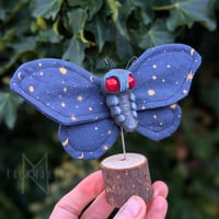Image 1 of Starry Goth Moth 
